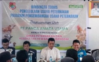 Wujudkan Banggai Smart Farming, PT PAU dan Disnakeswan Gelar Bimtek Pengelolaan Usaha Peternakan Berkelanjutan