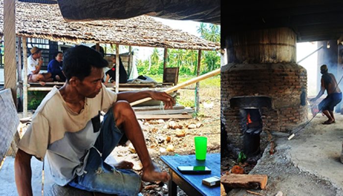 Memastikan Eksistensi Petani Nilam  Di Kecamatan Ratolindo Tojo Una Una