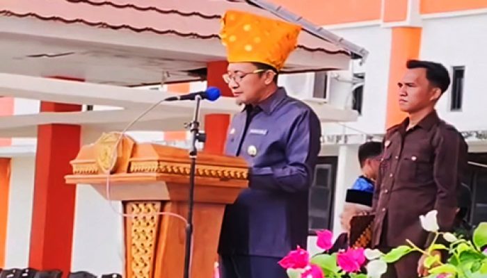 Upacara Hari Pahlawan Tahun 2025  diPeringatan diKabupaten  Tojo Una Una