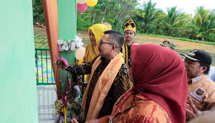 Maksimalkan Pelayanan Kesehatan, Bupati Banggai Resmikan UGD Baru Puskesmas Balantak Selatan