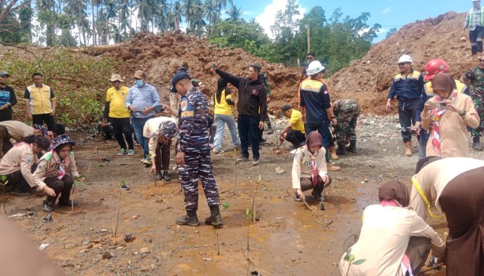 Komitmen Lingkungan, PT Penta dan PT Prima Dharma Karsa Tanam 1500 Mangrove di Pesisir Siuna