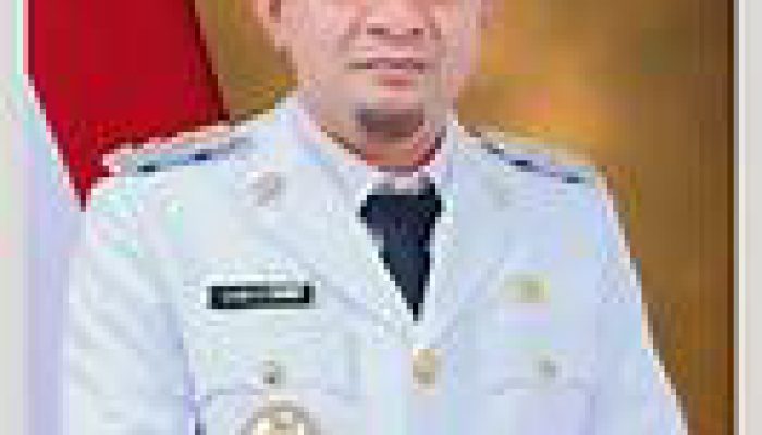 Memastikan Langkah strategis Bupati Tojo Una Una Menyibak Kabut Keraguan Masyarakatnya