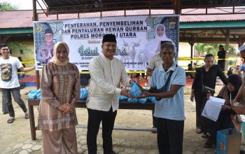 Iduladha 1447 H. Polres Morowali Utara Sembelih 20 Ekor Sapi dan 4 Ekor Kambing