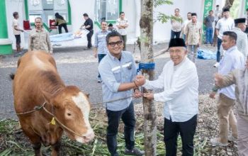 PT DSLNG Dan Bupati Banggai, Donasikan Hewan Kurban Perdana di Masjid Baitul Ma’muun