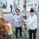 PT DSLNG Dan Bupati Banggai, Donasikan Hewan Kurban Perdana di Masjid Baitul Ma’muun