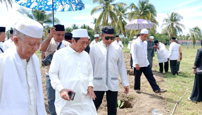 H. Mahmud Lahay : Penanaman Perdana Pisang Canvendish di Tojo Una Una Sinyalemen Yang Berorientasi Pada Pemberdayaan Ekonomi Kerakyatan