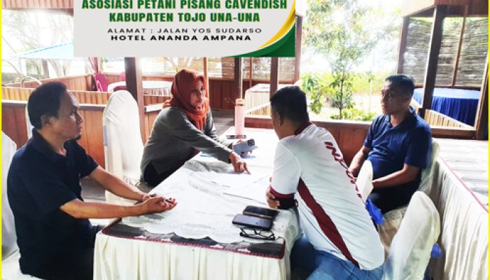 Program Penanam Pisang Candavis Mulai jadi Perhatian Petani di Tojo Una Una