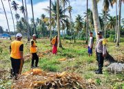 Dukung Ketahanan Pangan, Polsek Ampana Kota Kawal Panen Jagung di Sansarino