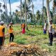 Dukung Ketahanan Pangan, Polsek Ampana Kota Kawal Panen Jagung di Sansarino