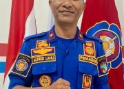 Sepekan Dua Kali Beraksi, Disdamkarmat Tojo Una Una Sukses Evakuasi Ular di Ruko dan Sarang Tawon Vespa di Bandara