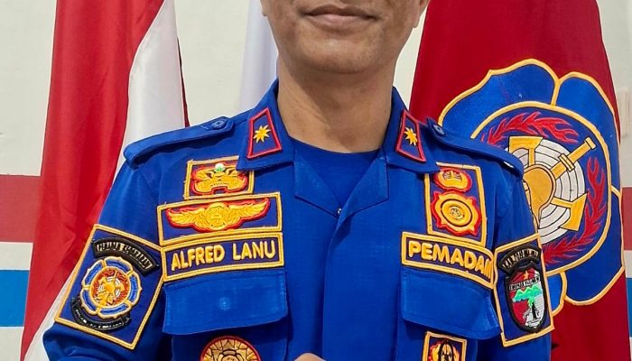 Sepekan Dua Kali Beraksi, Disdamkarmat Tojo Una Una Sukses Evakuasi Ular di Ruko dan Sarang Tawon Vespa di Bandara