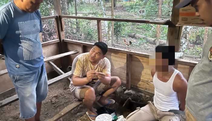 Kandang Ayam Jadi Tempat Persembunyian Sabu, Pria 41 Tahun di Batui Ditangkap Polisi