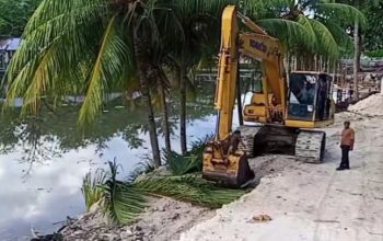 Jelang HUT ke-66 Kabupaten Banggai, PUPR Kerahkan Excavator Tata Kawasan RTH Teluk Lalong
