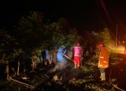 Karhutla di Jalan Trans Sulawesi Ampana Tete Berhasil Dijinakkan Setelah Belasan Jam