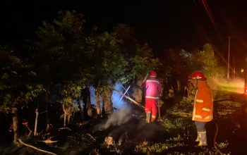 Karhutla di Jalan Trans Sulawesi Ampana Tete Berhasil Dijinakkan Setelah Belasan Jam