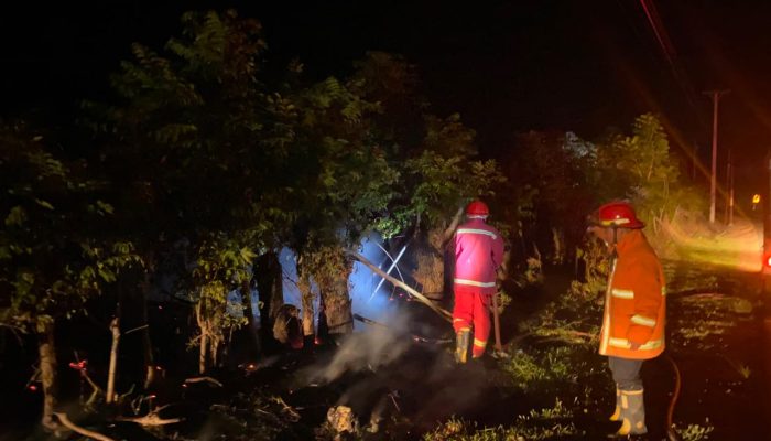 Karhutla di Jalan Trans Sulawesi Ampana Tete Berhasil Dijinakkan Setelah Belasan Jam