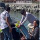 SB Numa Express Resmi jadi Jembatan Laut Tojo Una-Una, Pangkas Waktu Penyeberangan ke Togean
