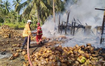 Damkarmat Tojo Una-Una Padamkan Kebakaran Tempat Pengering Kelapa di Ampana Kota