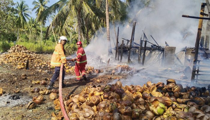 Damkarmat Tojo Una-Una Padamkan Kebakaran Tempat Pengering Kelapa di Ampana Kota