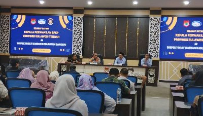 Kepala Perwakilan BPKP Provinsi Sulteng Kunjungi Inspektorat Banggai, Dorong Pengawasan Berbasis Risiko