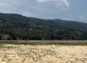 Puncak Super El Niño 2026: Danau Poso Menyusut Drastis, Ketersediaan Energi dan Pangan Sulawesi menjadi ancaman serius