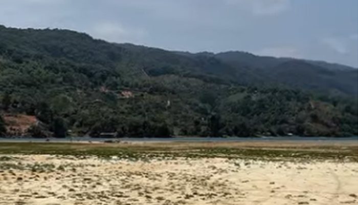 Puncak Super El Niño 2026: Danau Poso Menyusut Drastis, Ketersediaan Energi dan Pangan Sulawesi menjadi ancaman serius