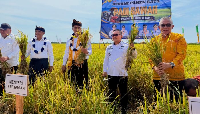 Banggai Surplus Beras, Mentan Amran : Contoh Baik Kolaborasi Gubernur dan Bupati