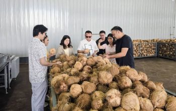 Pabrik Kelapa Raksasa Beroperasi di Morowali, Bupati Delis Soroti Peluang Petani Morut