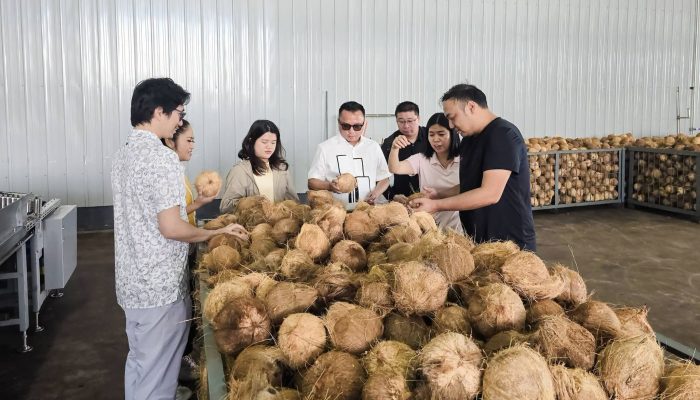 Pabrik Kelapa Raksasa Beroperasi di Morowali, Bupati Delis Soroti Peluang Petani Morut