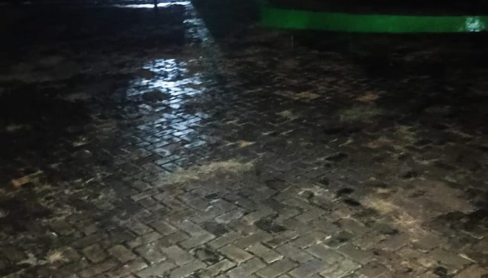 Doa Minta Hujan Terjawab: Kecamatan Tojo Barat Mulai Diguyur Hujan Dua Malam Berturut-turut