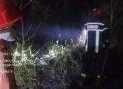 Amukan Api di Lorong Gereja: Respons Cepat Damkarmat Tojo Una Una Berhasil Jinakkan Karhutla di Desa Tete A
