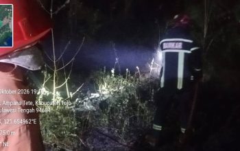 Amukan Api di Lorong Gereja: Respons Cepat Damkarmat Tojo Una Una Berhasil Jinakkan Karhutla di Desa Tete A