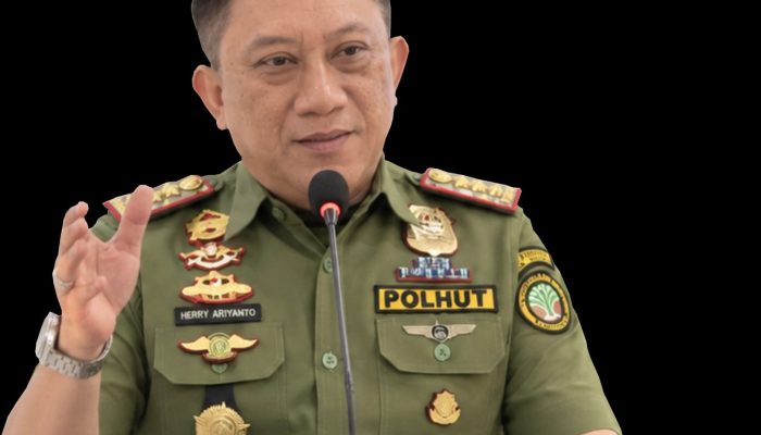 KPH Tepo Asa Aroa Dinas Kehutanan Provinsi Sulawesi Tengah, SKT Dalam Kawasan Hutan Dibatalkan