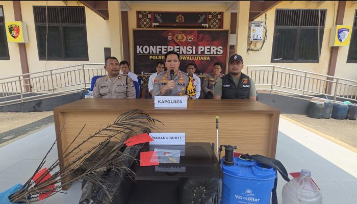 Sekitar 15 Hektare Kebun Terbakar, Warga Lemboroma Ditetapkan Tersangka