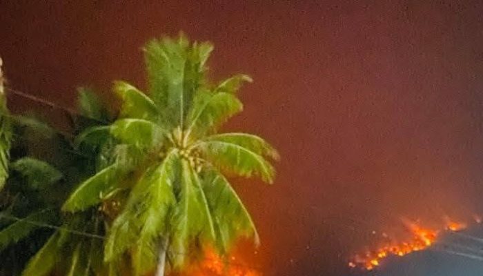 DIPICU ANGIN KENCANG, AMUKAN KARHUTLA DI TOJO UNA-UNA ANCAM DESA BANANO DAN JALUR TRANS SULAWESI